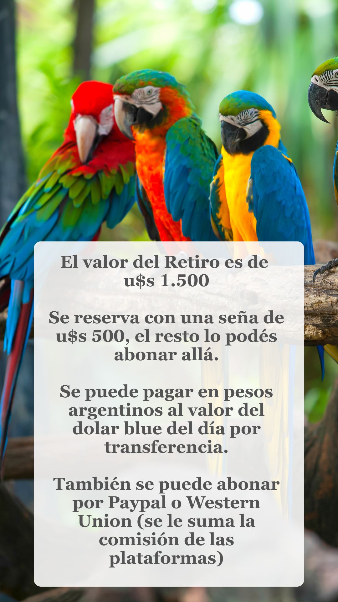 Retiro Espiritual a Costa Rica 🇨🇷 - Imagen 4