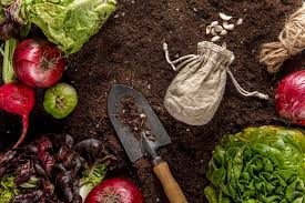CULTIVAR CON-CIENCIA - Imagen 2