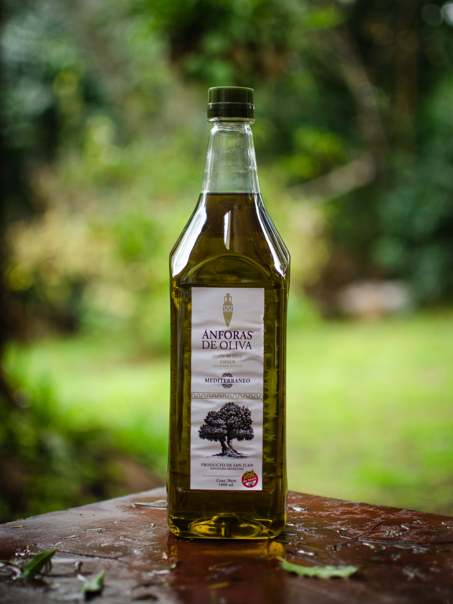 Aceite de oliva virgen y aceitunas